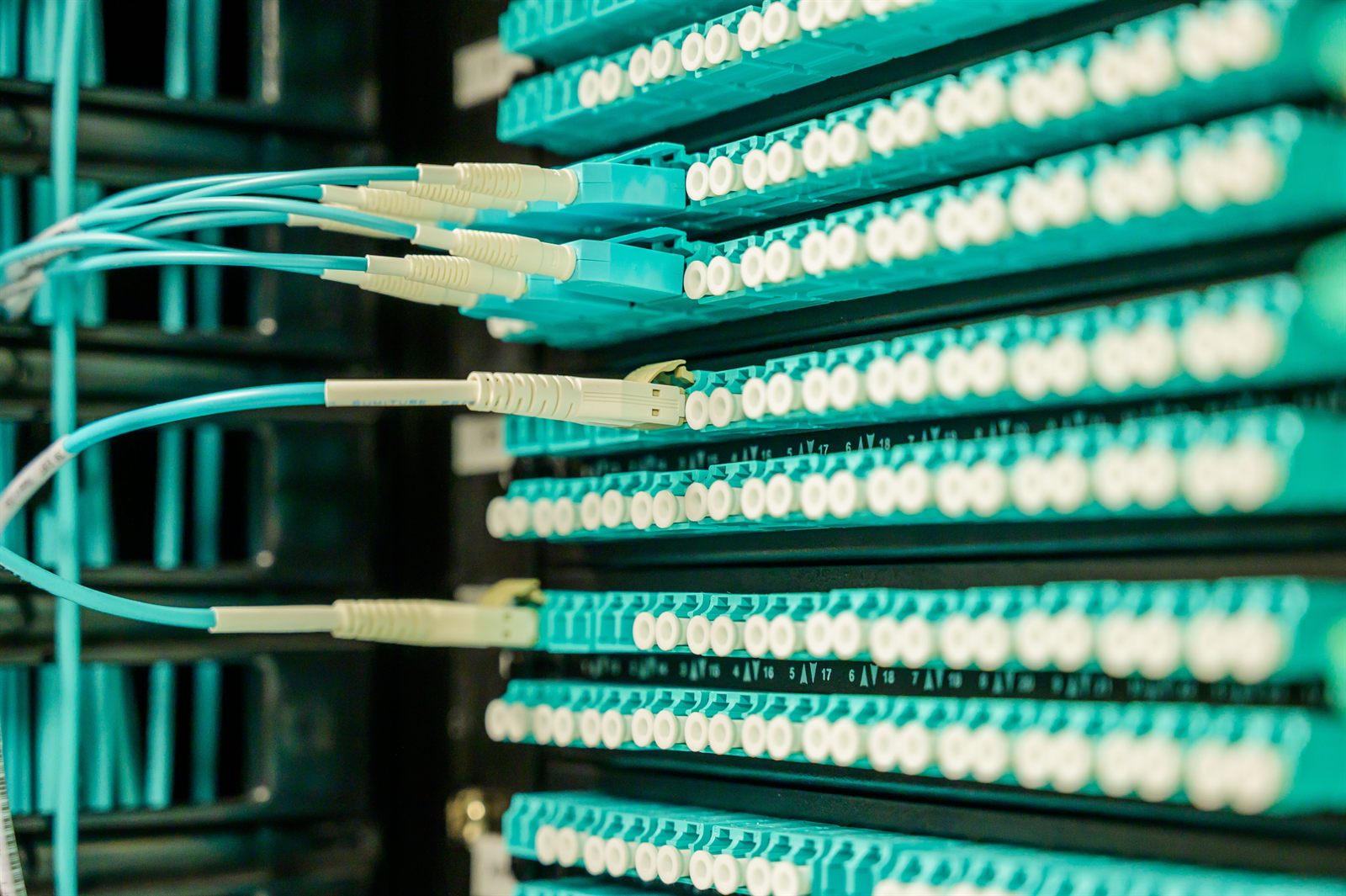 Network cabling and equipment